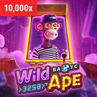 Các nguyên tắc chính của GDPR tại bet20 casino