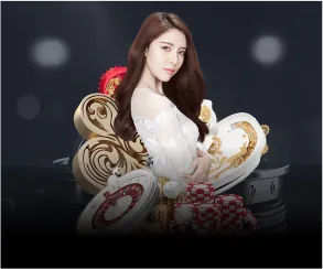 Liên hệ hỗ trợ bet20 Casino về chính sách cookie